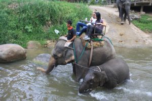 Campo de Elefantes, Norte de Tailandia, 2006